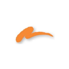LA GIRL Matte Finish Nail Color (Color: Orange)